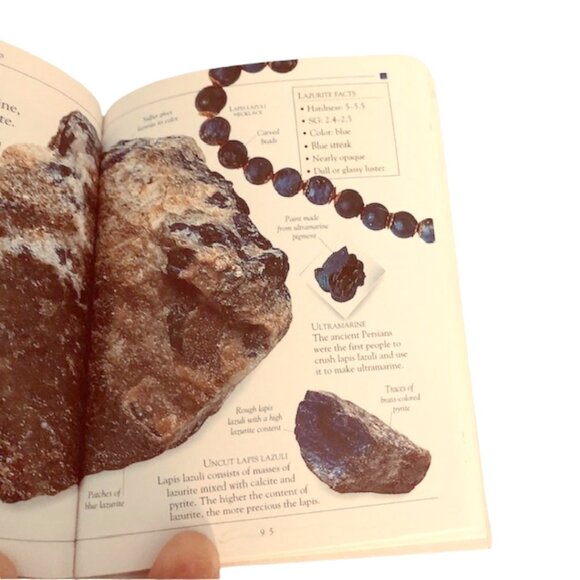 Rocks and Minerals (Pockets) Paperback 1995 - Picture 4 of 5